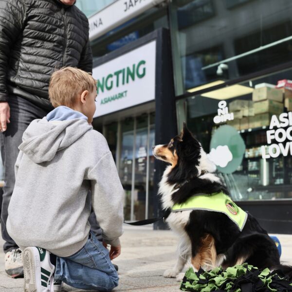 image00057